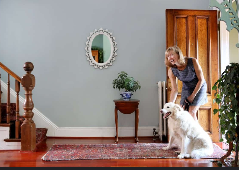 4 Essential Questions to Consider Before Adopting a Pet