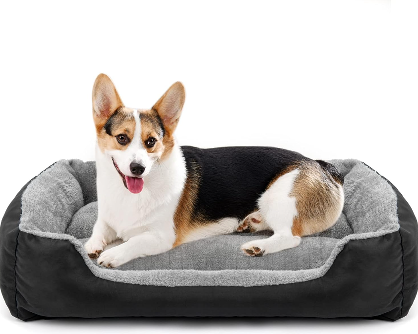 Guide to Selecting the Perfect Bedding for Your Canine Companion
